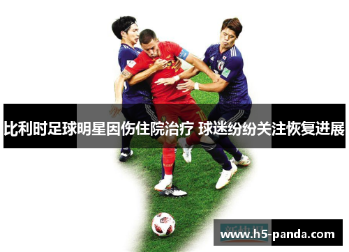 比利时足球明星因伤住院治疗 球迷纷纷关注恢复进展 比利时足球明星因伤住院治疗 球迷纷纷关注恢复进展