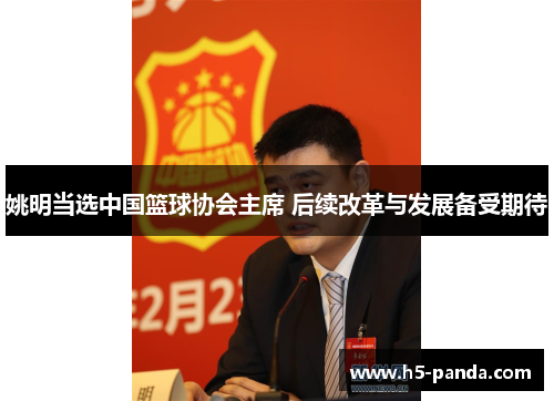 姚明当选中国篮球协会主席 后续改革与发展备受期待 姚明当选中国篮球协会主席 后续改革与发展备受期待