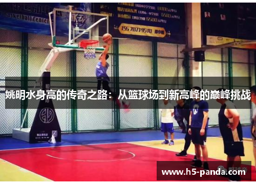 姚明水身高的传奇之路:从篮球场到新高峰的巅峰挑战 姚明水身高的传奇之路:从篮球场到新高峰的巅峰挑战