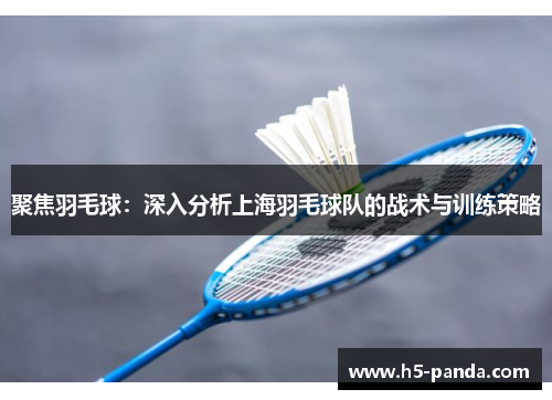 聚焦羽毛球：深入分析上海羽毛球队的战术与训练策略