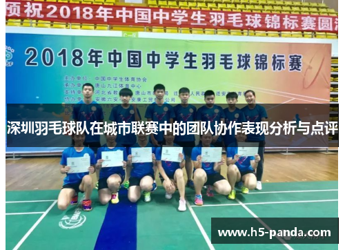 深圳羽毛球队在城市联赛中的团队协作表现分析与点评