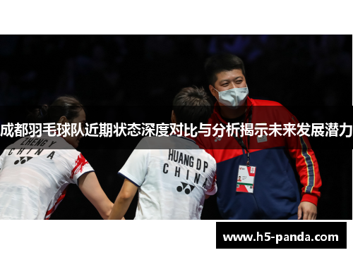 成都羽毛球队近期状态深度对比与分析揭示未来发展潜力